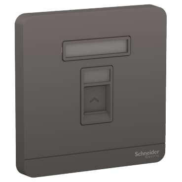 1G S Keystone Wallplate (w/o Mod) DG
