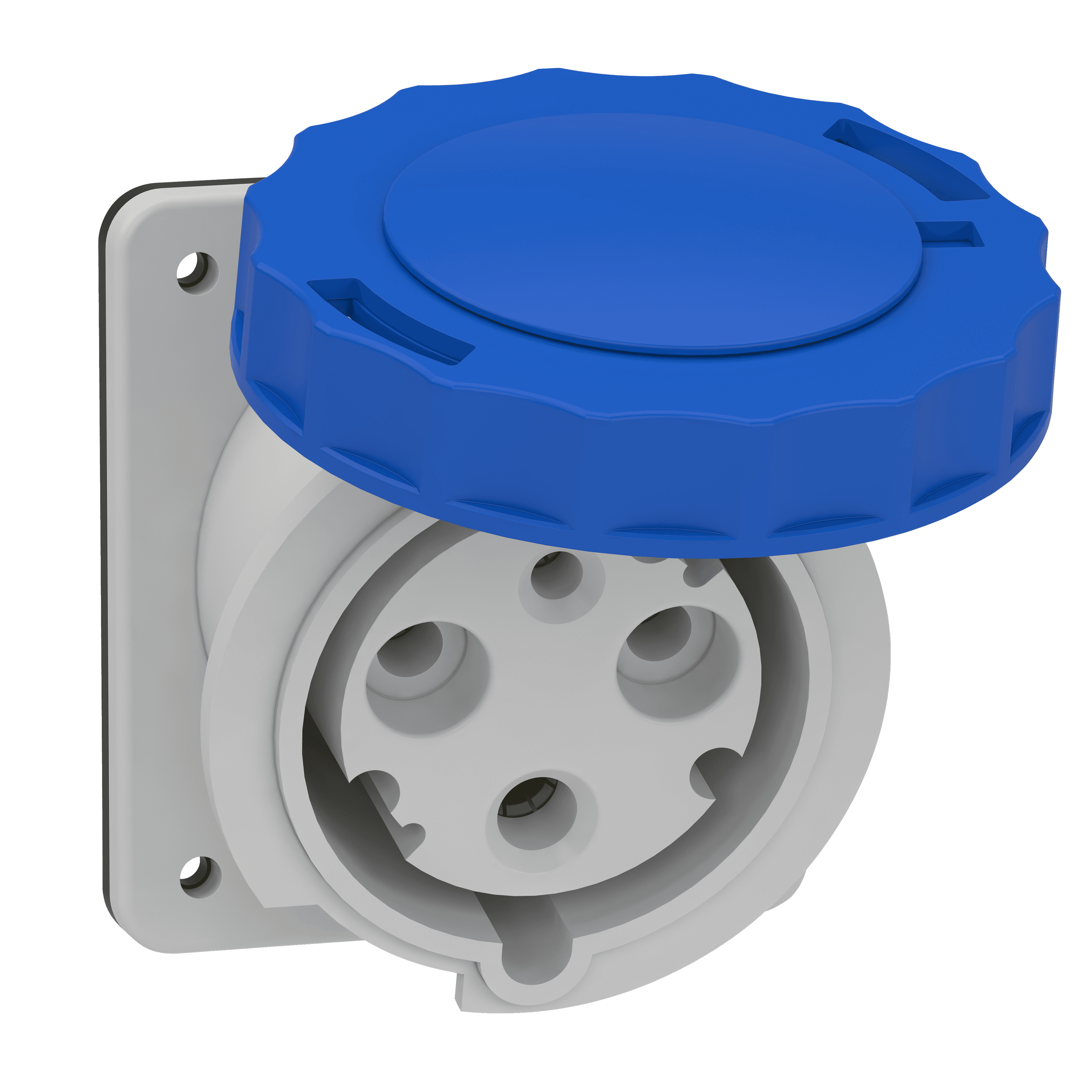 PrtK 2P+E 63A 200-250V Ang Pnl Skt IP67