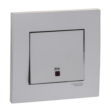 20A 250V 1G DP SW W/ NE & E، كـ