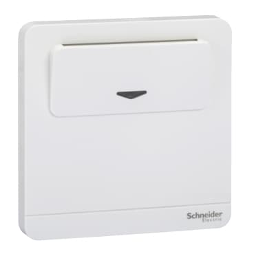250V16AElecKeycardSW,WE
