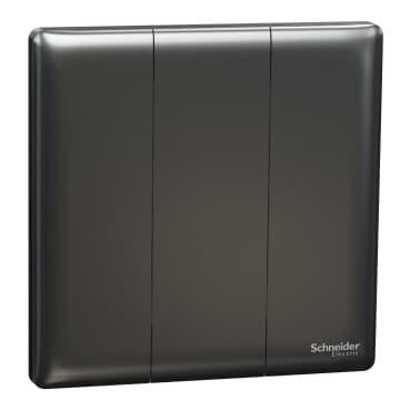 16AX 250V~ 3G 1W SW, DG