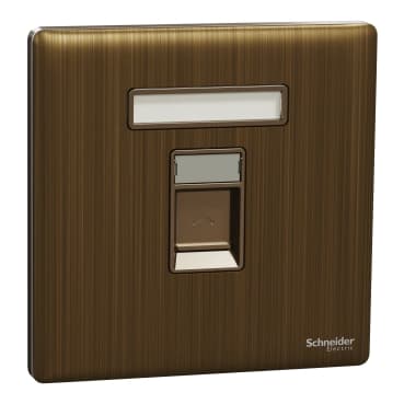 1G RJ45 Data Cover, w/shu, AB