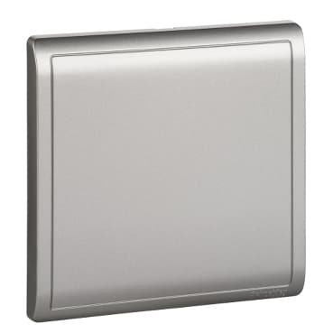 1G BLANK PLATE