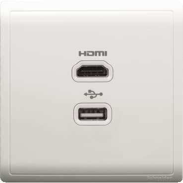 HDMI + USB SKT