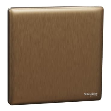 1G Blank Plate, DB