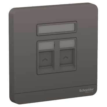 2G S Keystone Wallplate (w/o Mod) DG