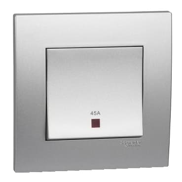 45A 250V 1G DP SW W/ NE, AS