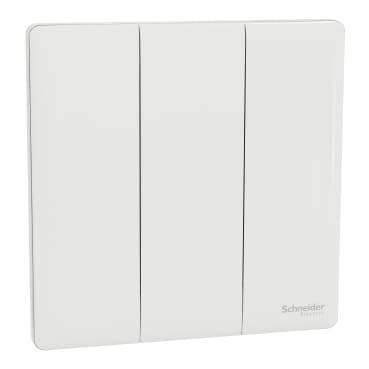 16AX 250V~ 3G 2W SW, PW