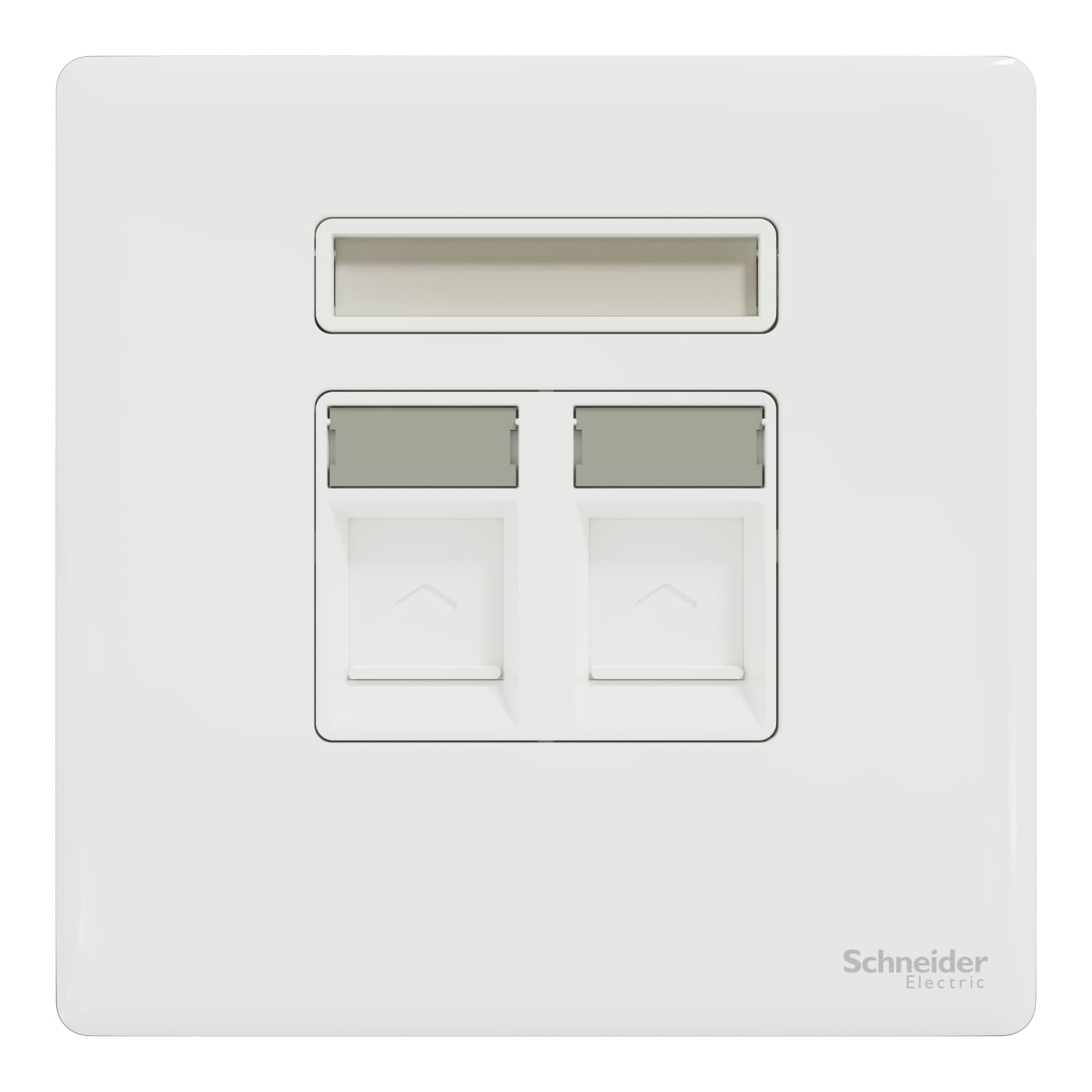 2G RJ45 Data Cover, w/shu, PW